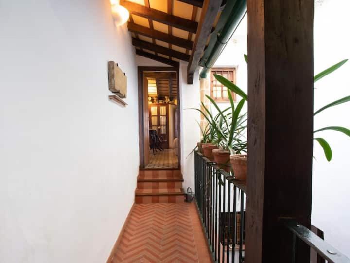 Historic House In The City Center Sevilla Exterior foto